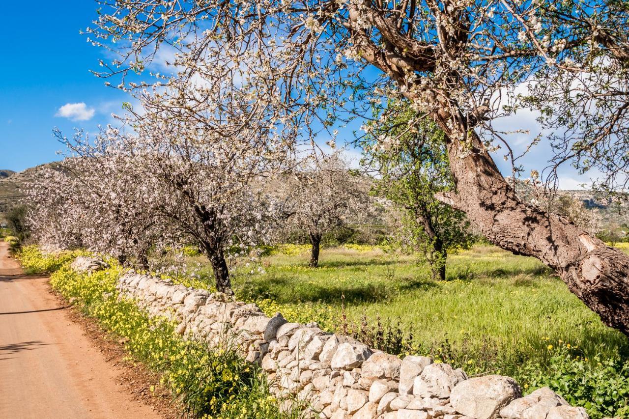 Attico Micale 500 Meters From The Beach Διαμέρισμα Avola Εξωτερικό φωτογραφία