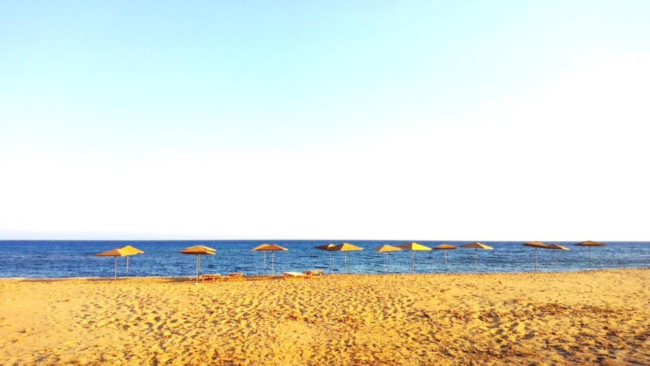 Attico Micale 500 Meters From The Beach Διαμέρισμα Avola Εξωτερικό φωτογραφία